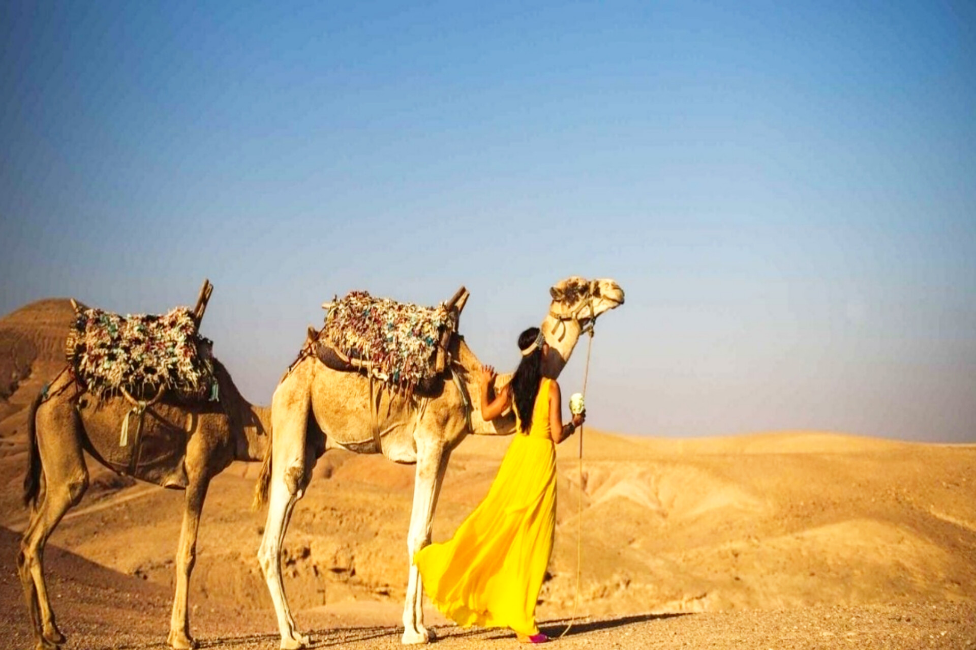 Camel ride at sunset in the Agafay desert